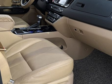 Kia Carnival, 2019 — фото 19