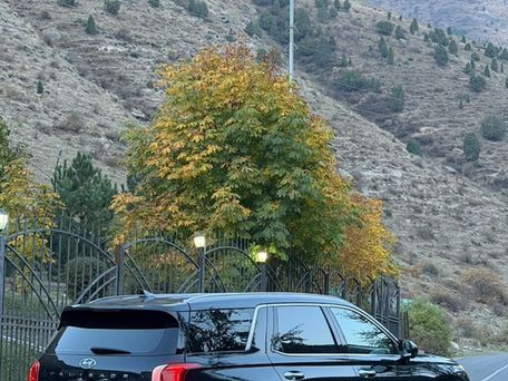 Hyundai Palisade, 2019 — сүрөт 4