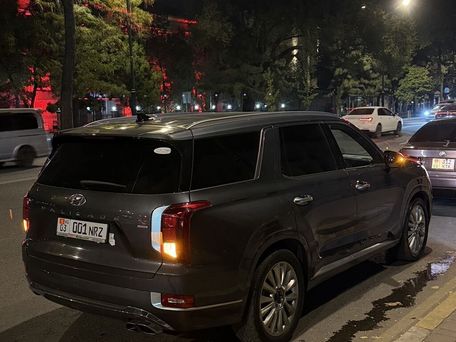 Hyundai Palisade, 2020 — сүрөт 9
