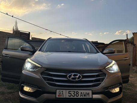 Hyundai Santa Fe, 2017 — фото 11