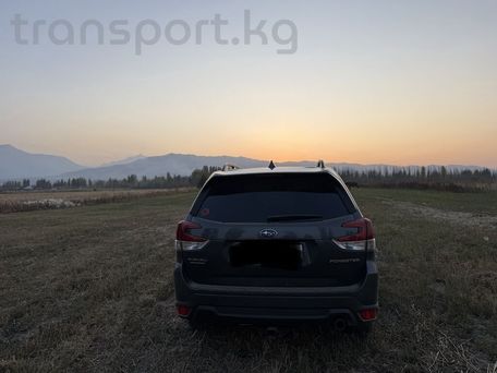 Subaru Forester, 2019 — photo 2