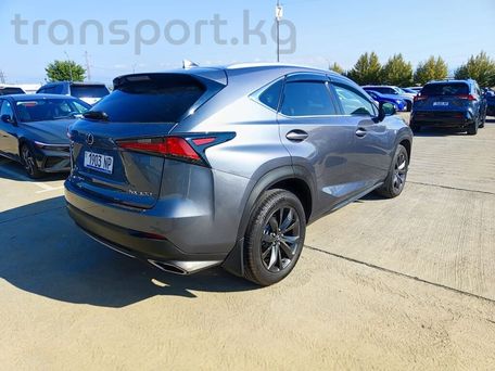 Lexus NX, 2020 — photo 4