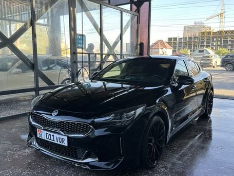 Kia Stinger, 2019 — photo 3