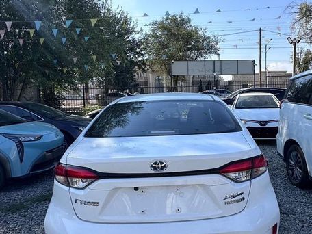 Toyota Corolla, 2020 — сүрөт 5