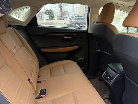 Lexus NX, 2019 — photo 8