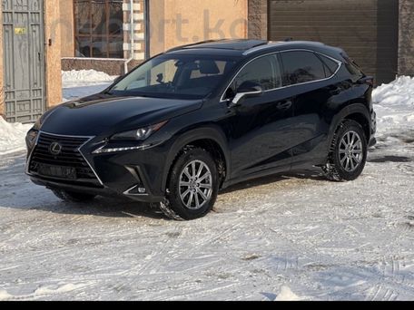 Lexus NX, 2020 — фото 1