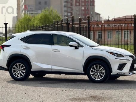 Lexus NX, 2021 — фото 2