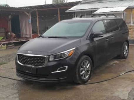 Kia Carnival, 2019