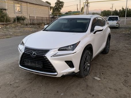 Lexus NX, 2018 — фото 1