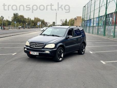 Mercedes-Benz M-Класс, 2003 — фото 2