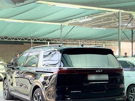 Kia Carnival, 2022 — фото 6