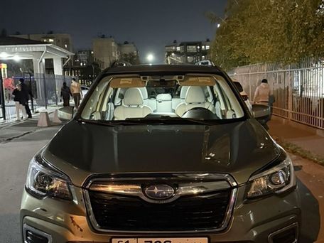 Subaru Forester, 2019 — 照片 2