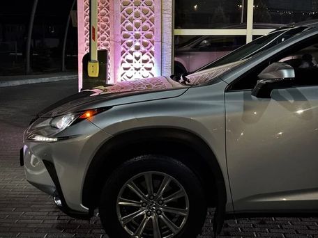 Lexus NX, 2018 — фото 4