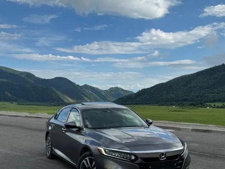 Honda Accord, 2019 — фото 1