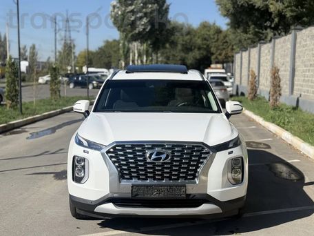 Hyundai Palisade, 2020 — фото 1