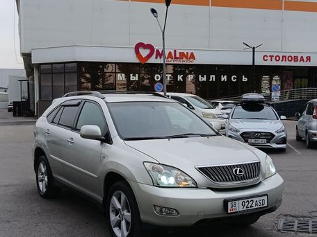 Lexus RX, 2007 — 照片 10