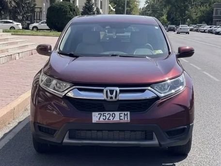 Honda CR-V, 2019 — фото 1