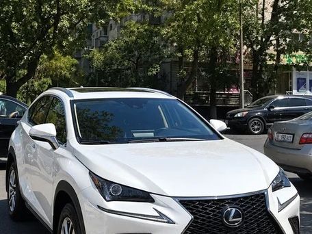 Lexus NX, 2018 — фото 1