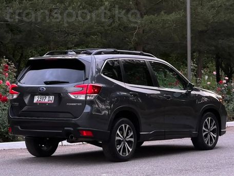 Subaru Outback, 2019 — фото 4