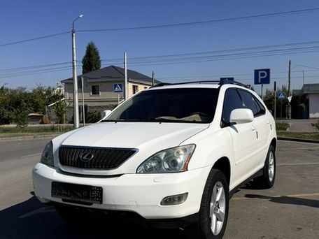 Lexus RX, 2005 — 照片 17