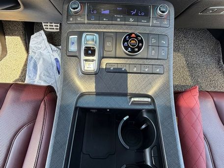 Hyundai Palisade, 2020 — 照片 16