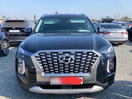 Hyundai Palisade, 2021 — сүрөт 1