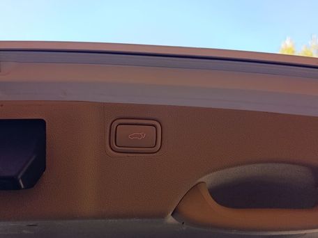 Kia Carnival, 2019 — сүрөт 20