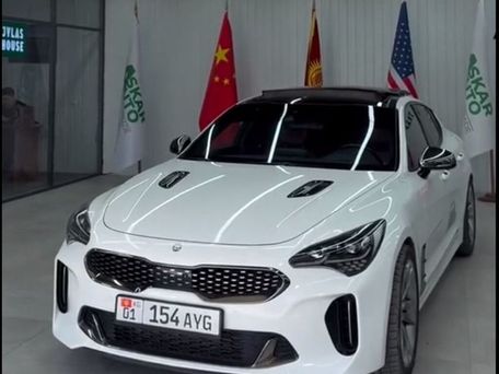 Kia Stinger, 2017 — фото 7