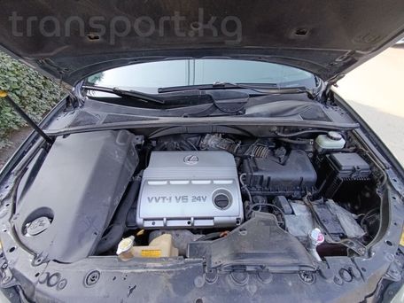 Lexus RX, 2004 — 照片 15