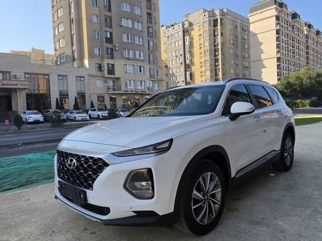 Hyundai Santa Fe, 2019 — фото 3