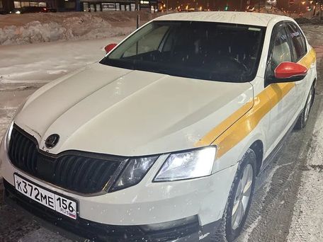Skoda Octavia, 2020 — фото 3