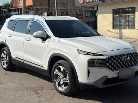 Hyundai Santa Fe, 2023 — фото 2