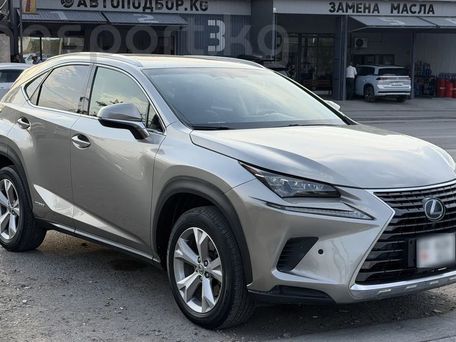 Lexus NX, 2017 — фото 3