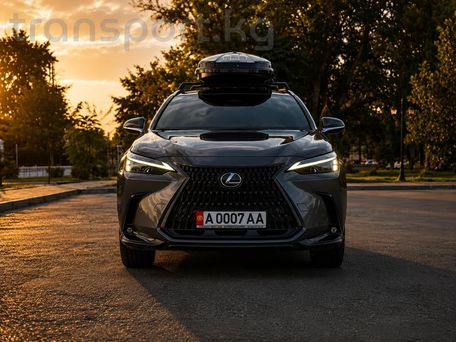 Lexus NX, 2023 — фото 2