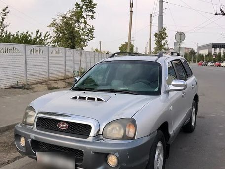 Hyundai Santa Fe, 2002 — 照片 2