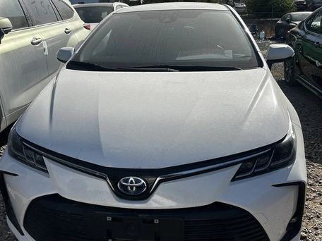 Toyota Corolla, 2023 — 照片 1