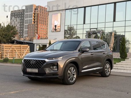 Hyundai Santa Fe, 2019 — фото 11