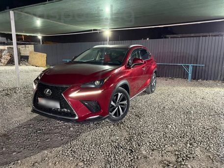 Lexus NX, 2018 — фото 1