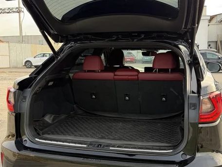 Lexus RX, 2016 — photo 8
