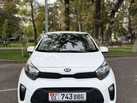 Kia Picanto, 2019 — фото 4
