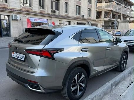 Lexus NX, 2021 — сүрөт 7