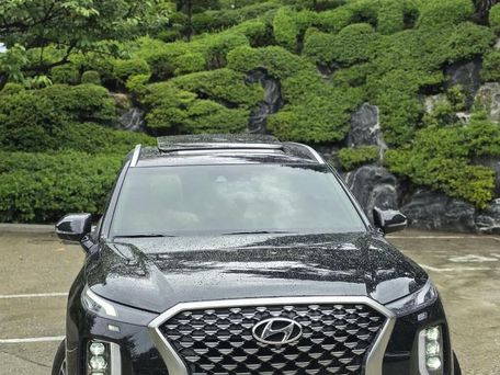 Hyundai Palisade, 2020 — сүрөт 1