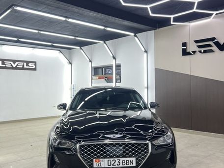 Hyundai Genesis, 2019 — photo 8