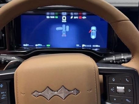 BYD FangChengBao Leopard 5, 2023 — фото 7