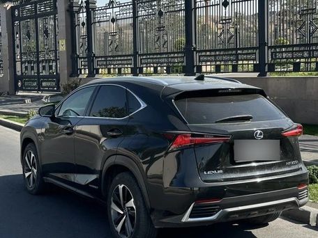 Lexus NX, 2021 — фото 3