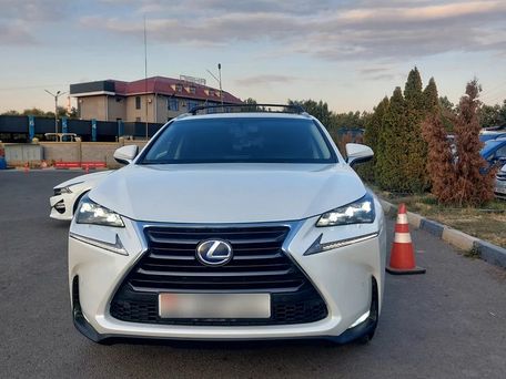 Lexus NX, 2017 — фото 1