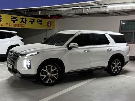 Hyundai Palisade, 2021 — 照片 7