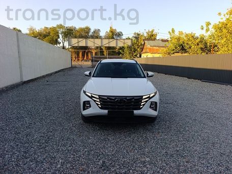 Hyundai Tucson, 2020 — фото 1