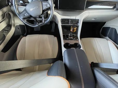 BYD Song Plus, 2024 — 照片 5