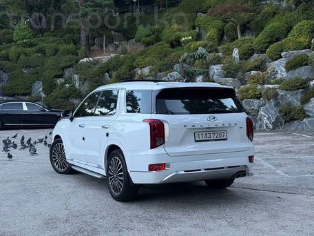 Hyundai Palisade, 2020 — 照片 6